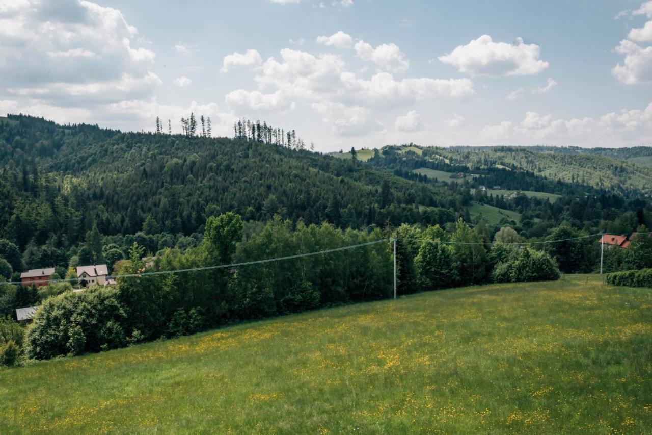 Apartamenty Madzia Wisla Bagian luar foto
