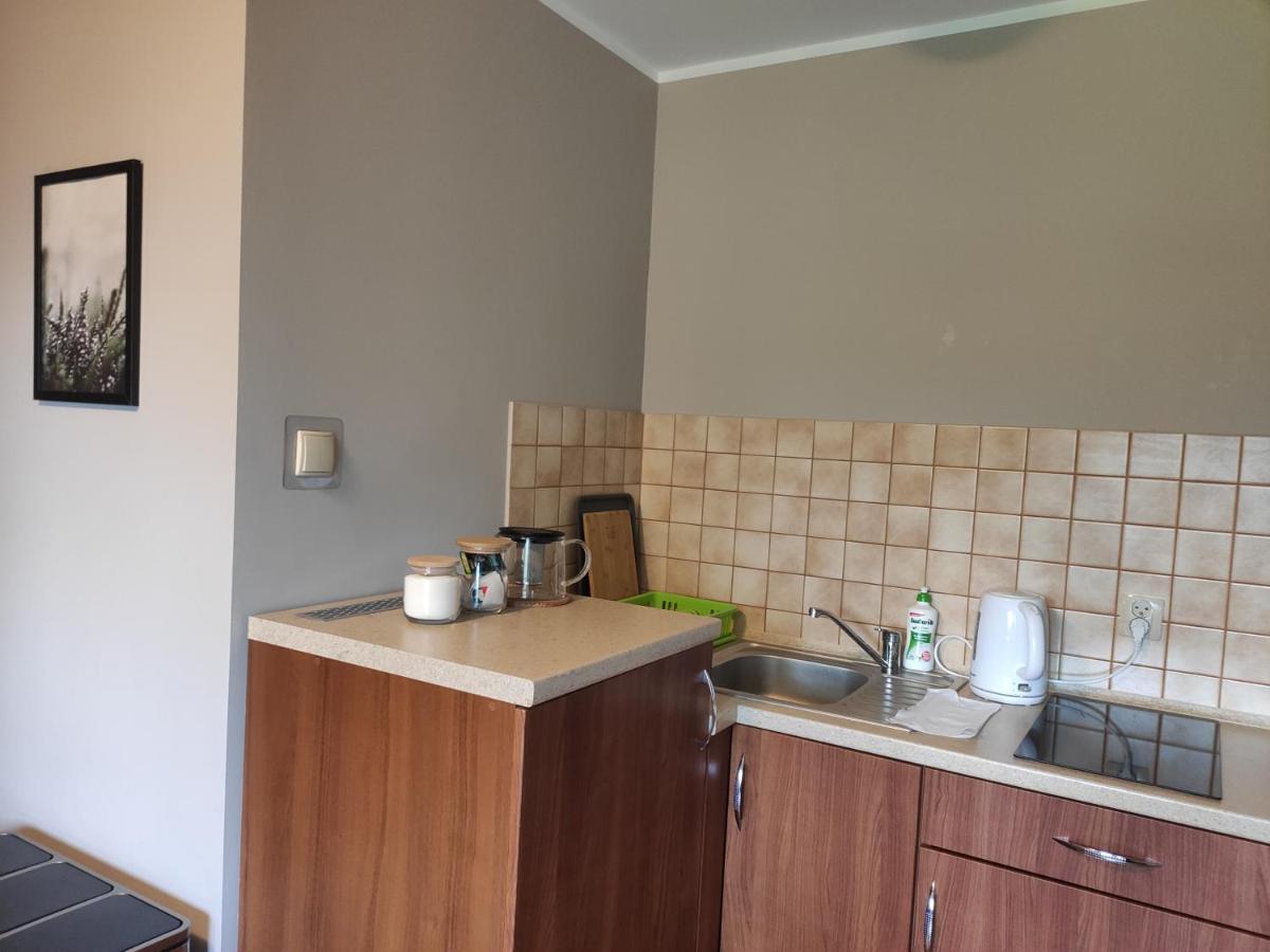 Apartamenty Madzia Wisla Bagian luar foto